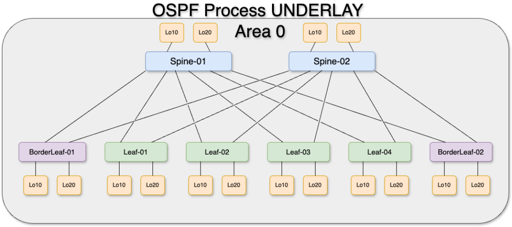 OSPF topology